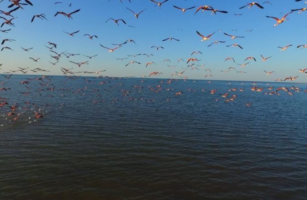Morteros sede del Festival de Aves Migratorias de San Blas Mexico