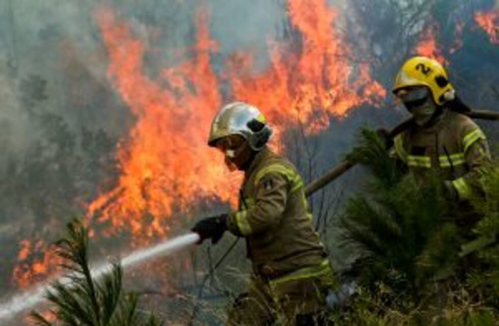 Incendios en Chile: una pareja se salvó de milagro porque se tiró a la pileta
