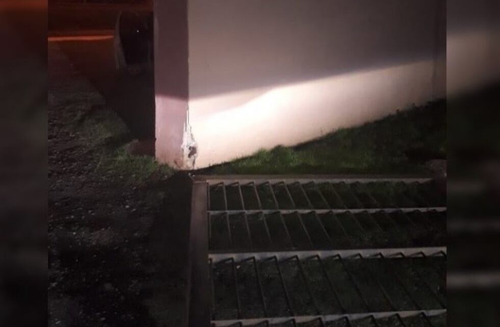 Un niña de 10 años murió aplastada por un portón de hierro