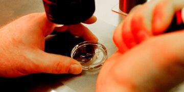 Fallo en contra de El Portal de Belén\u002E