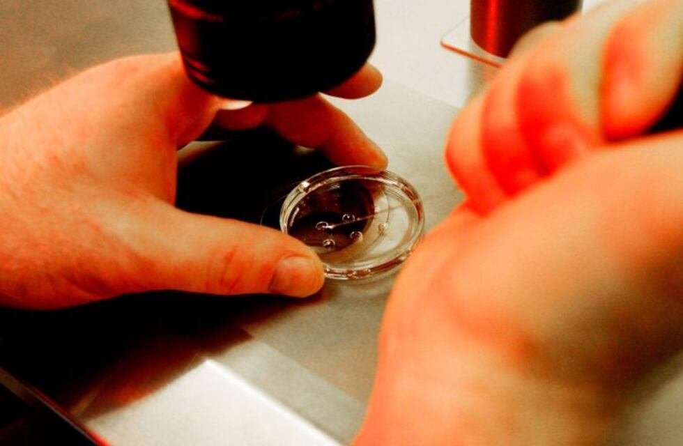 Pareja mendocina congeló embriones y ahora no se los dan