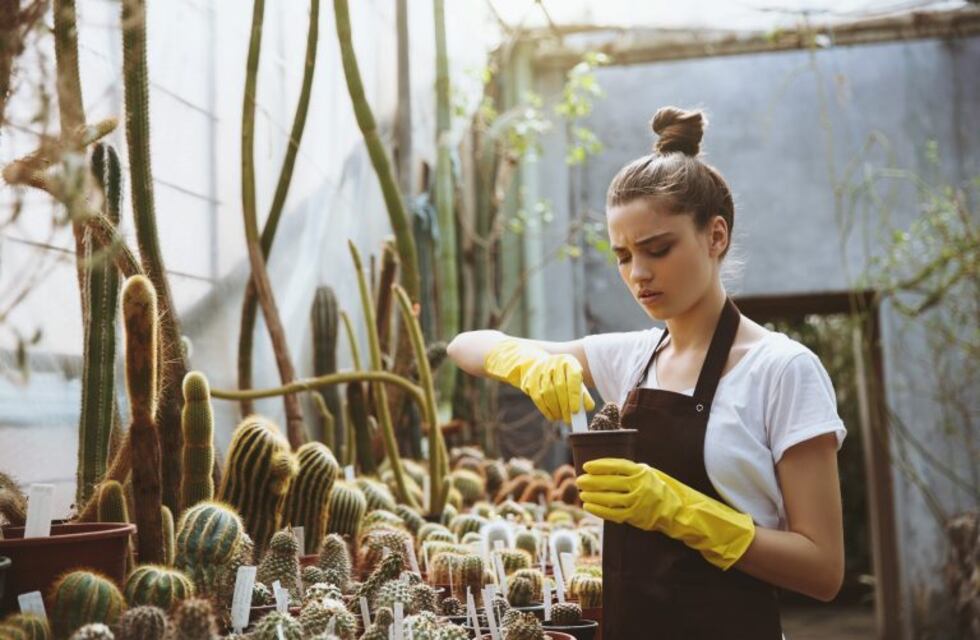 La hora de la siesta natural