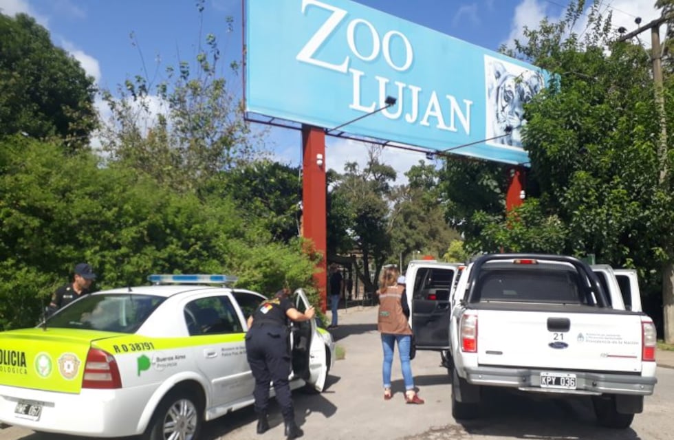 Clausuraron el zoo de Luján por visitantes dentro de las jaulas de los animales