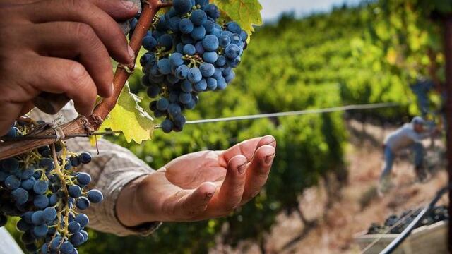 El departamento de San Matín espera que los gobiernos provinciales permitan el movimiento de obreros golondrinas