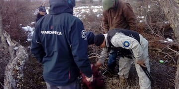 Detuvieron a dos jóvenes de 22 y 17 años por robar y degollar ovejas\u002E