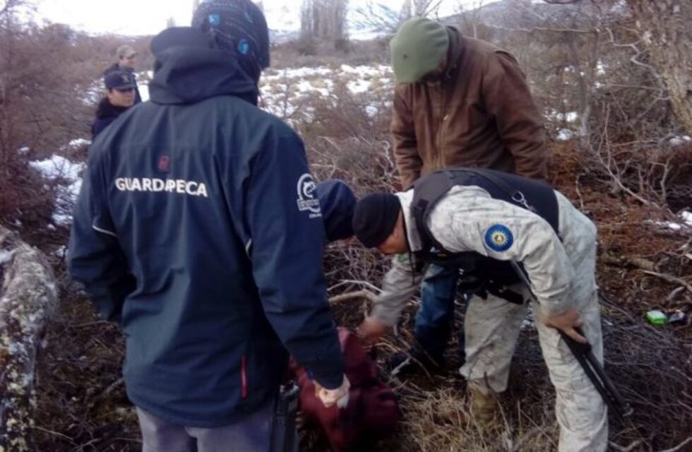 Detuvieron a dos jóvenes que degollaron y destriparon ovejas
