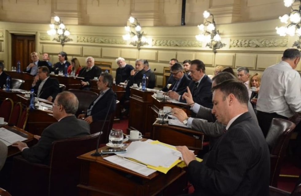 Juraron los 19 senadores en Santa Fe con Lewandowski, Castelló y Diana como debutantes