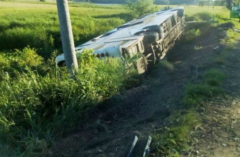 Micro de larga distancia chocó una vaca y volcó