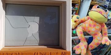 Peluche recuperado\u002E