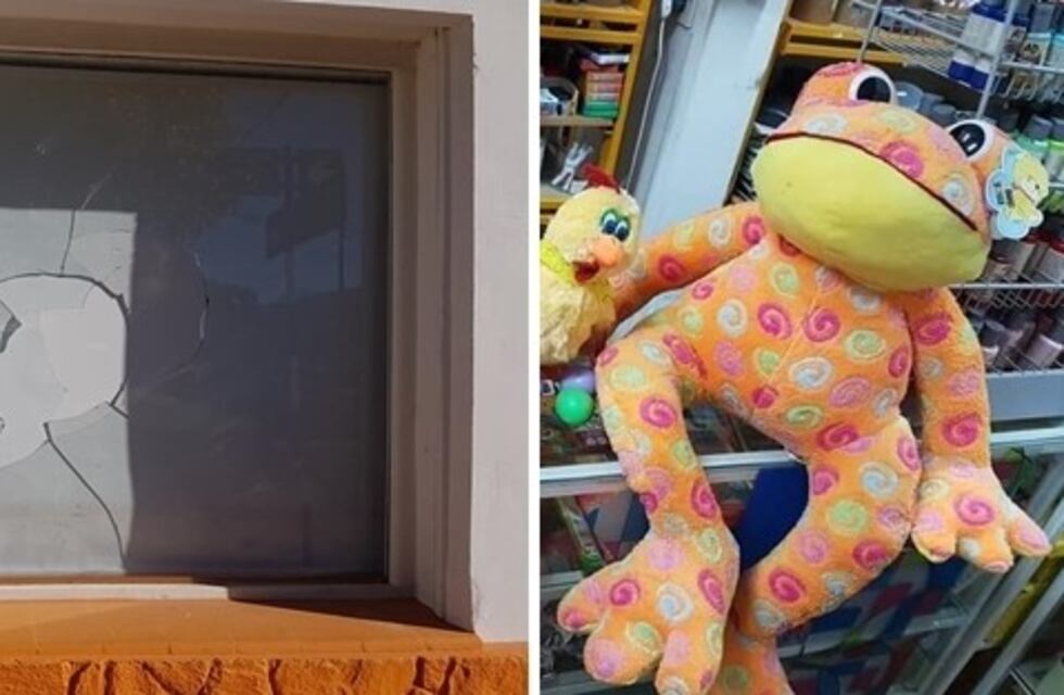 Leones: en operativo policial recuperan un peluche gigante