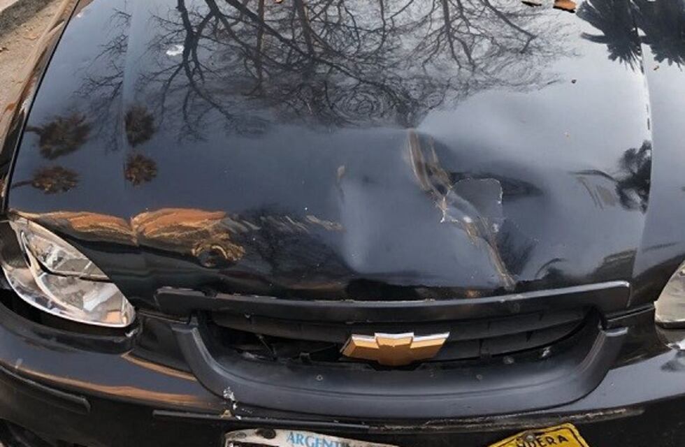 Insólito: repartían plantines por el Día del Árbol y a metros una gigantesca rama cayó y dañó dos vehículos
