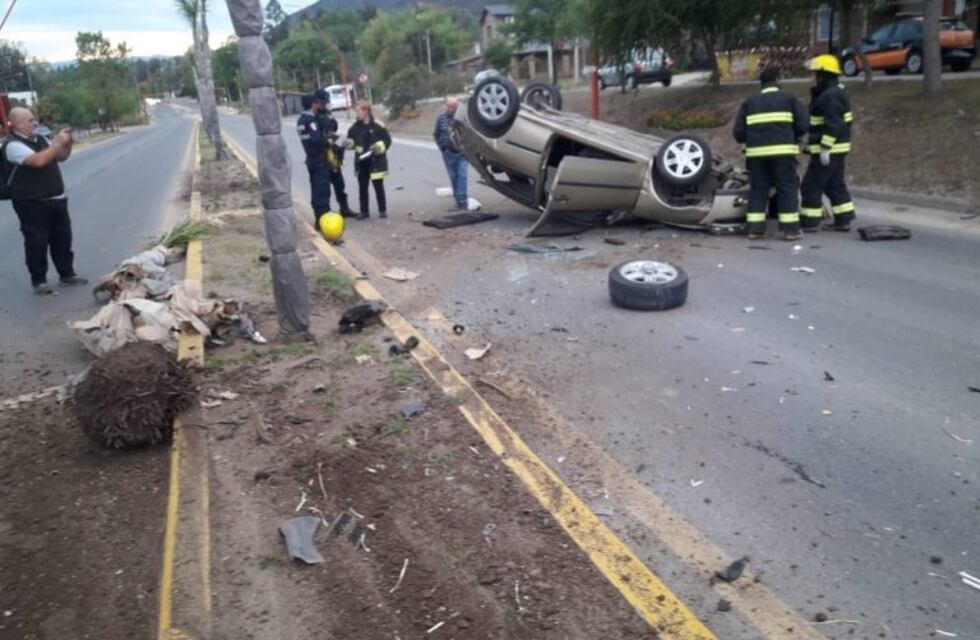 Chocaron en Carlos Paz y arrancaron una palmera de raíz