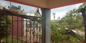 Caída de árboles en Jardín América\u002E Fuente: El Territorio\u002E