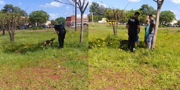 Efectivos de la Policía rescataron un perro rociado con aceite y atado a la intemperie