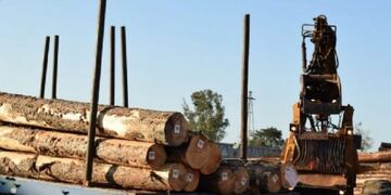 Se frenó la venta de rollizos a China\u002E