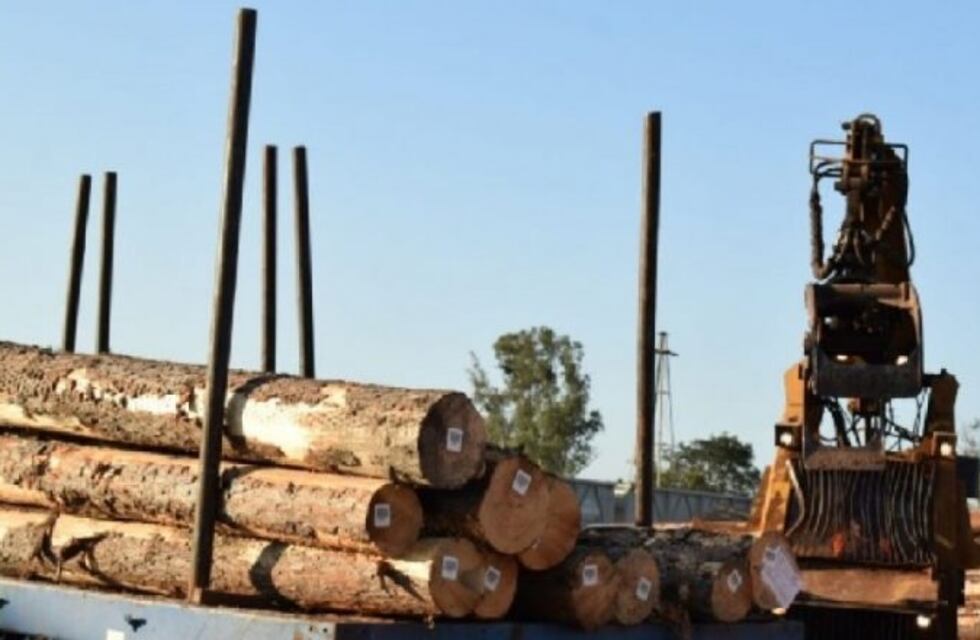Se frenó la exportación de madera a China por consecuencia del Coronavirus