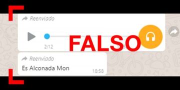 No, no son del periodista Hugo Alconada Mon los audios virales que indican que le pagaron a personas para asistir a una marcha del Frente de Todos