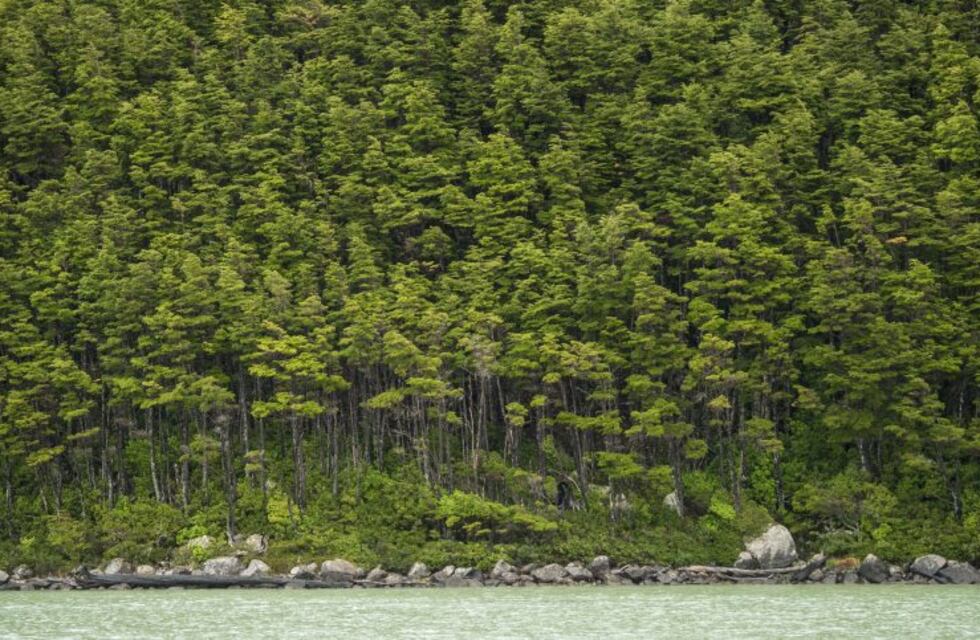 Charla para comerciantes de Nono sobre prácticas ambientales