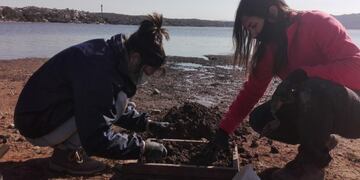 Rescataron restos fósiles de las costas del Lago San Roque\u002E