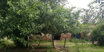 Cuerpos hallados en Limache\u002E (Fiscales Penales de Salta)