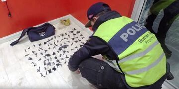 DYN03, BUENOS AIRES, 05/07/2017, UN DELINCUENTE CONOCIDO COMO u201cEL REY ARTUROu201d, QUE SE DEDICABA A COMERCIALIZAR ESTUPEFACIENTES Y QUE COLECCIONABA ESPADAS ANTIGUAS, QUEDu00d3 DETENIDO EN MONTE GRANDE, PARTIDO DE ESTEBAN ECHEVERRu00cdA, SE TRATA DE UN SUJETO DE 60 Au00d1OS, QUIEN VIVu00cdA EN UNA CASA QUE CONTABA CON UN SISTEMA DE VIGILANCIA CON CERCO ELu00c9CTRICO, PILETA CLIMATIZADA Y CANCHA DE Fu00daTBOL 5 Y AL QUE LE SECUESTRARON ESPADAS, ENVOLTORIOS CON COCAu00cdNA, VARIAS DOSIS DE MARIHUANA Y UNA IMPORTANTE SUMA DE DINERO\u002E FOTO:DYN/M SEGURIDAD\u002E