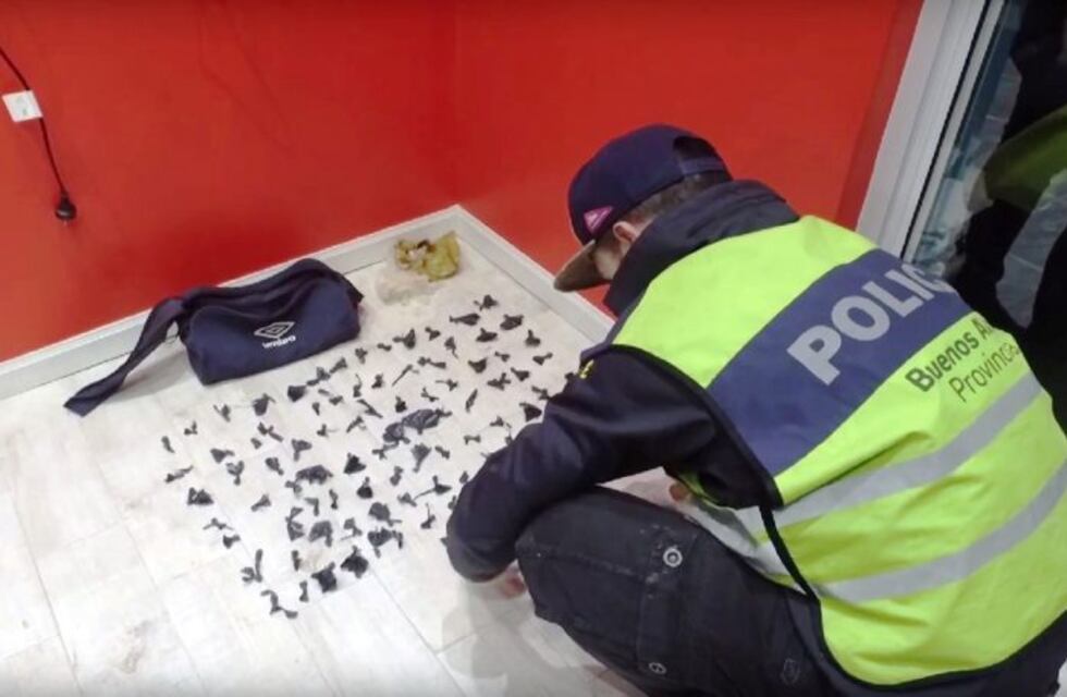 Monte Grande: detuvieron al "Rey Arturo", acusado de narcotráfico y coleccionista de espadas antiguas