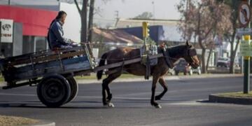 Carro tirado a caballo protagonizó grave accidente