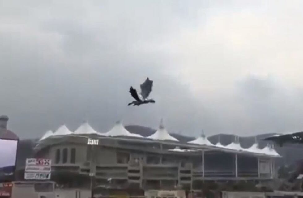 Un dragón sorprendió a todos en pleno partido de béisbol