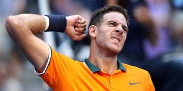 Juan Martín del Potro\u002E (web)