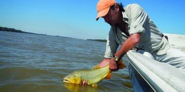 El subdirector del Instituto de Ictiología enfrentó las críticas que generó un video viralizado \u002E (Web)\u002E
