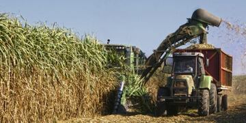 (Foto de la web)\u002E