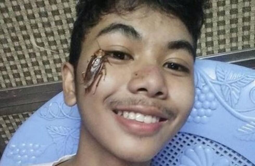 #CockroachChallenge: el desagradable desafío que se volvió viral