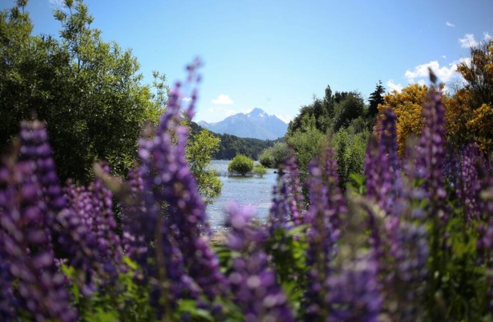 La prueba piloto de reapertura de turismo en Bariloche "es una noticia alentadora", dijo gobernadora