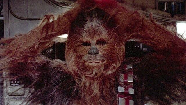 Chewbacca es el protagonista de otro extraño torneo, esta vez en la ciudad de Córdoba.