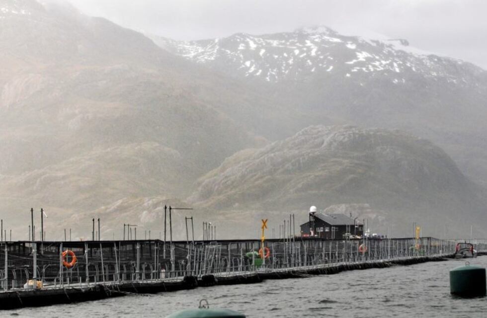 Se aprobó la instalación de salmoneras en el mar argentino
