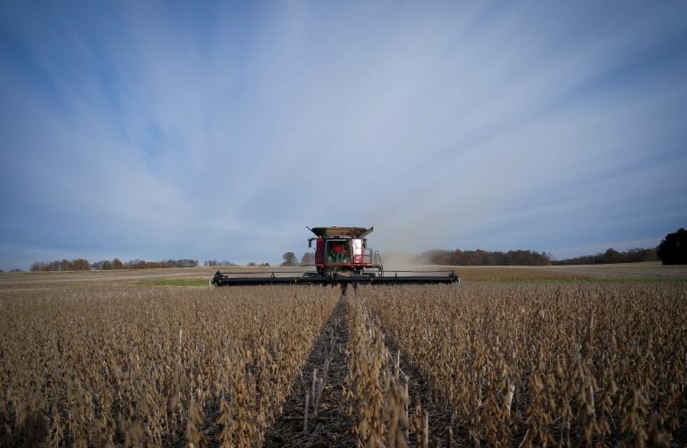 Las exportaciones de Córdoba representaron el 15,7 por ciento del total de la Argentina