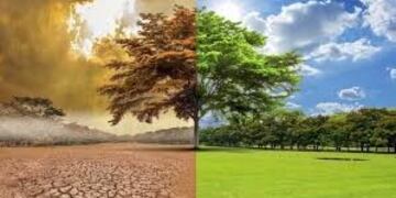 Gualeguaychú adhirió a la Red Argentina de Municipios frente al Cambio Climático\