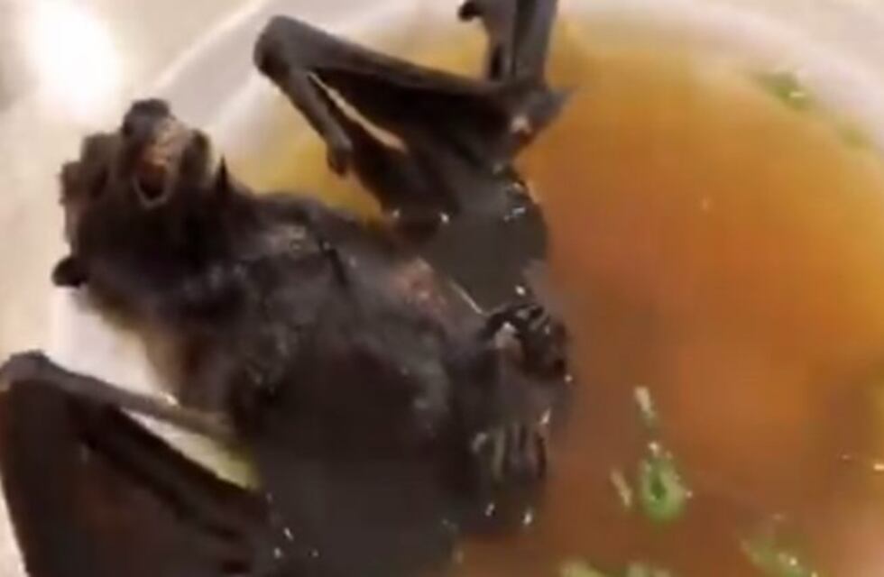 Así se come la sopa de murciélago que pudo haber originado el coronavirus en China