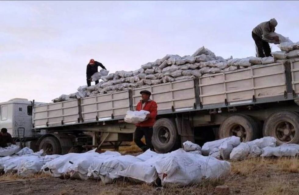 Empezó la distribución de leña por el Plan Calor