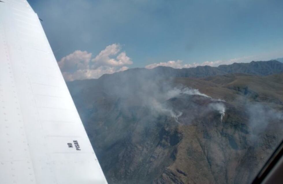 Está contenido el incendio en el  Pedemonte