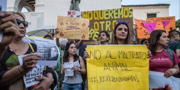 La marcha para pedir justicia por el perro ( Andrés Mansilla\u002E El Tribuno)