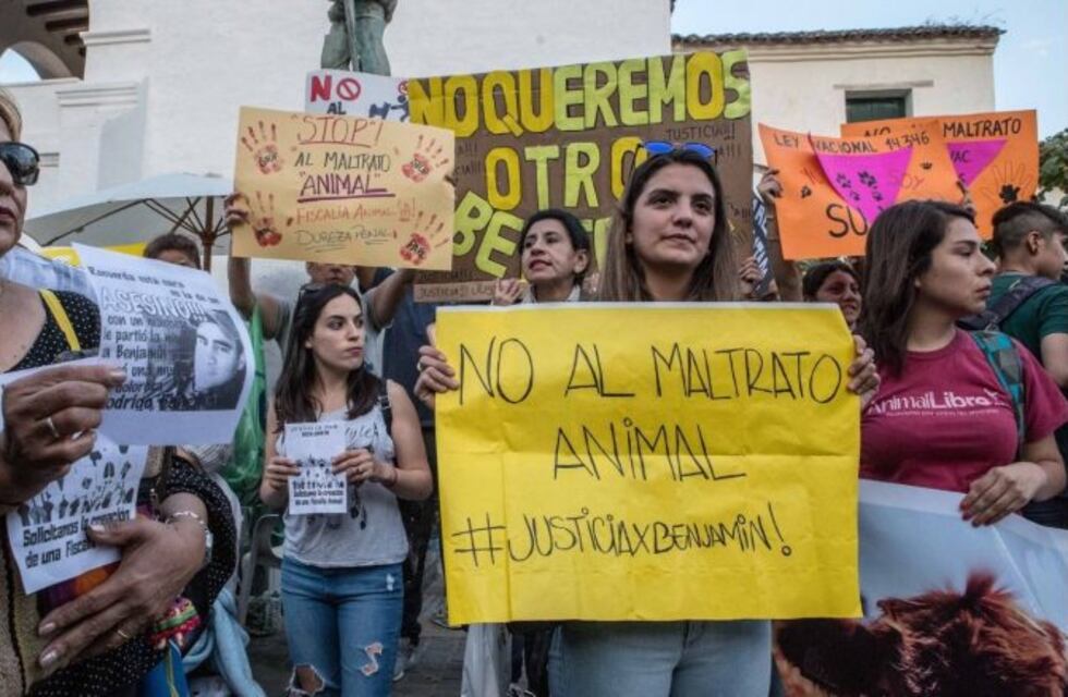 Irá a juicio el hombre que atacó a un perro con un machete