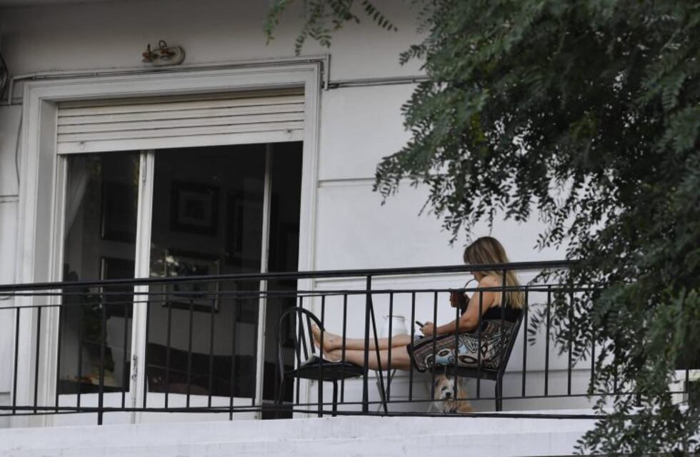 Coronavirus en Argentina: disminuyen los casos importados y crece la circulación comunitaria