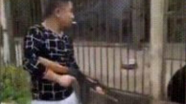 Chino asesina a un oso