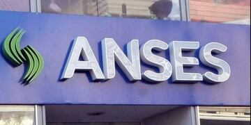 Anses (Imagen ilustrativa/web)
