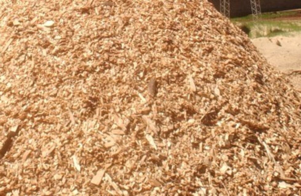 Forestales solicitan una balsa para exportar chip leña a Paraguay