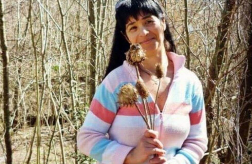 Malvinas Argentinas: un camión chocó a una mujer y escapó: ella quedó internada y su familia busca al responsable