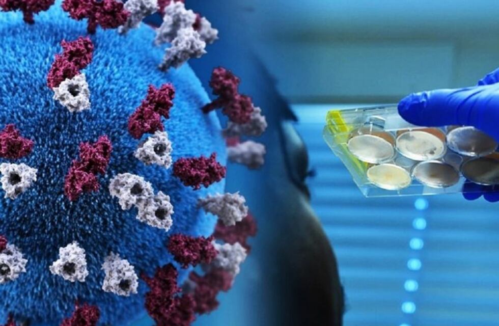 Mendoza sumó 8 casos positivos de coronavirus