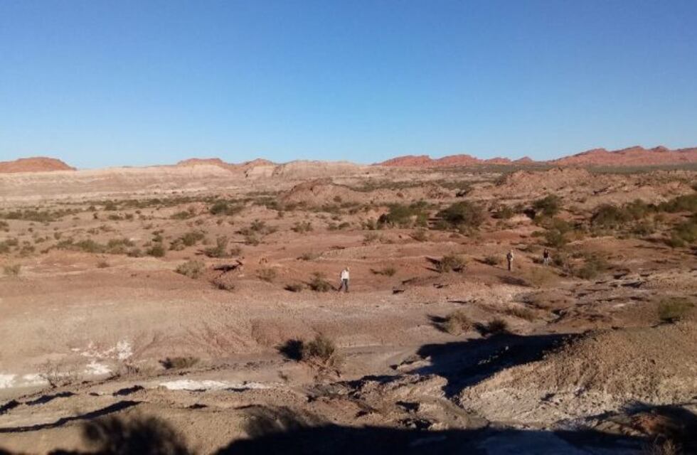 Científicos riojanos hallaron fósiles con 230 millones de años de antigüedad