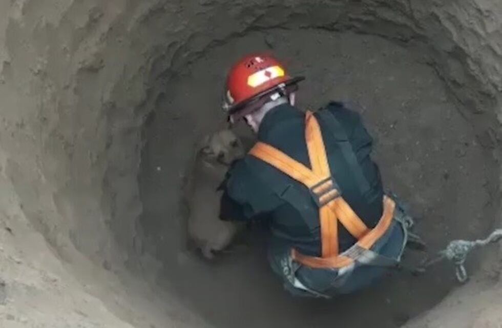 Emotivo rescate: un perro cayó en un profundo pozo y quedó atrapado hasta que los bomberos lograron sacarlo ileso